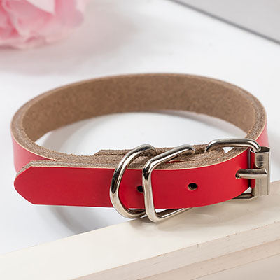 The Ultimate Leather Pet Collar Chain: A Stylish and Durable Walking Accessory